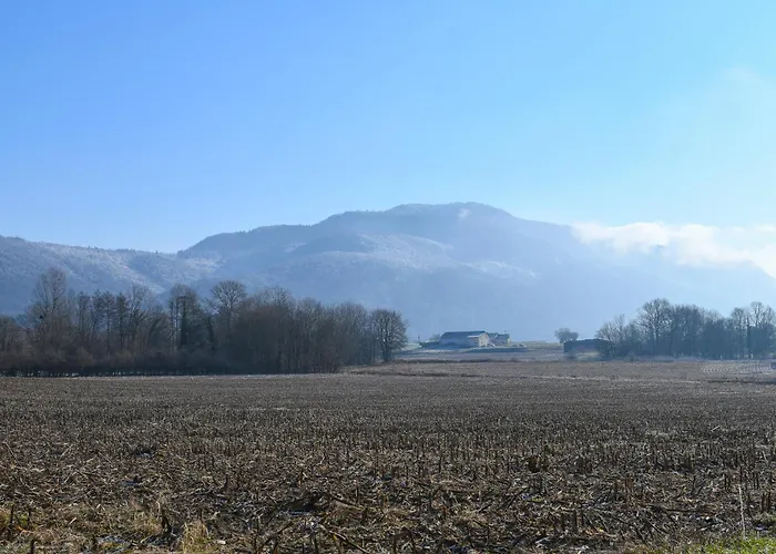 La Maison De La Pepee